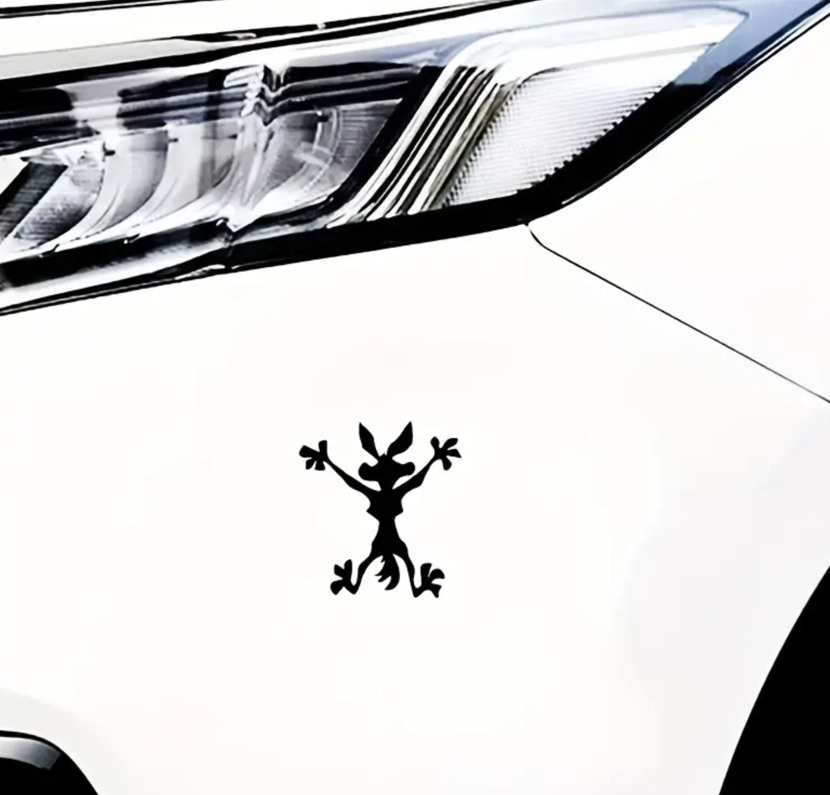 Imagen del producto 6